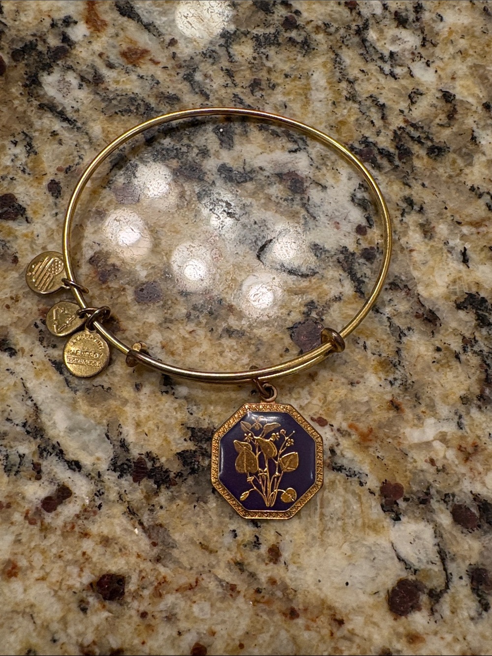 Alex and Ani Gold-Tone VIOLET Bangle